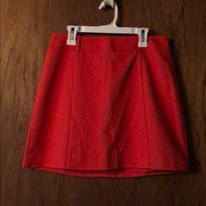 Express Skirt